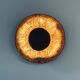 Waki - wall light