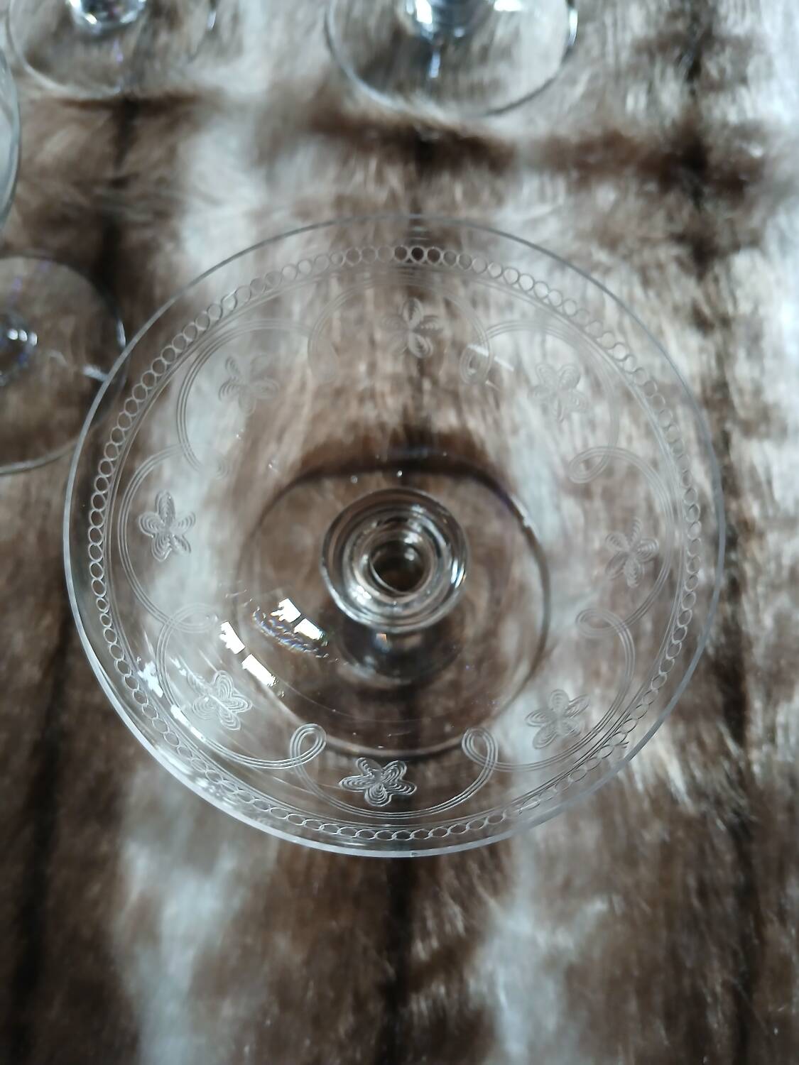 8 mismatched vintage champagne coupes