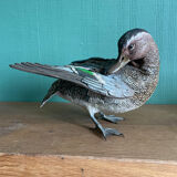 Polychrome terracotta duck