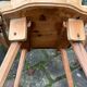 Set of 6 mountain chairs in fir folk art