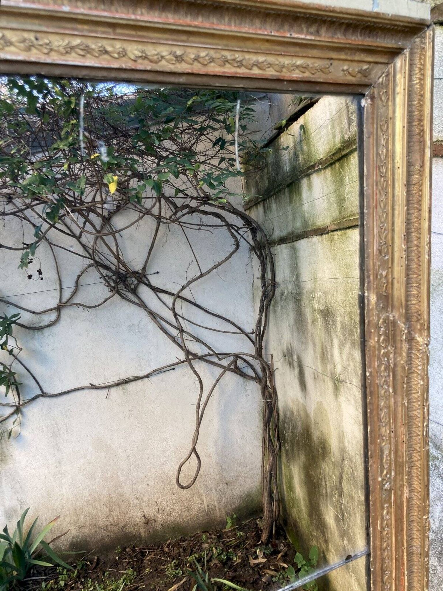 Antique overmantel mirror - decoration of palmettes and water leaves
