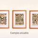 Antique engraving 1898, Birds 1: species, parrot, raptor • Lithograph, original illustration