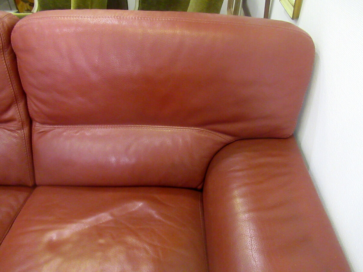 Leather sofa, 2 seats, Roche-Bobois brand
