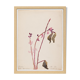 Watercolor illustration flowers