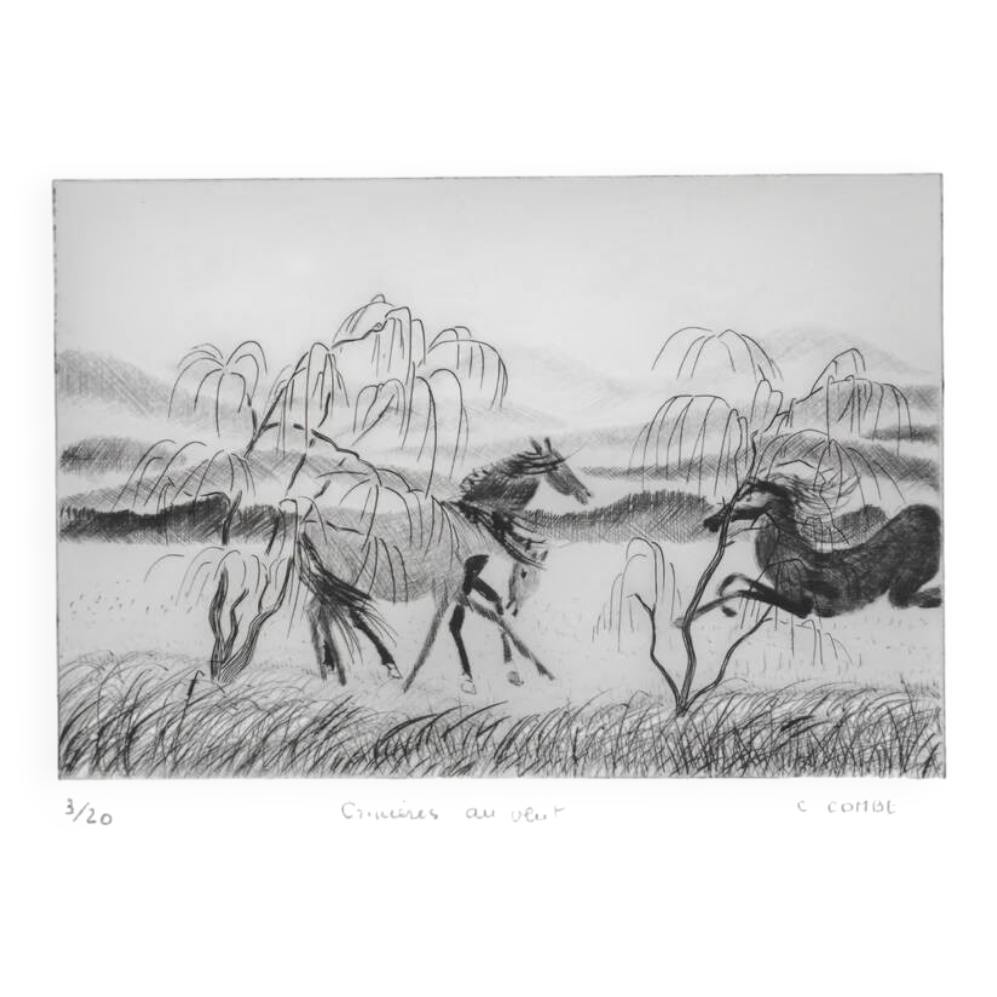 Camille combe: manes in the wind, original signed engraving