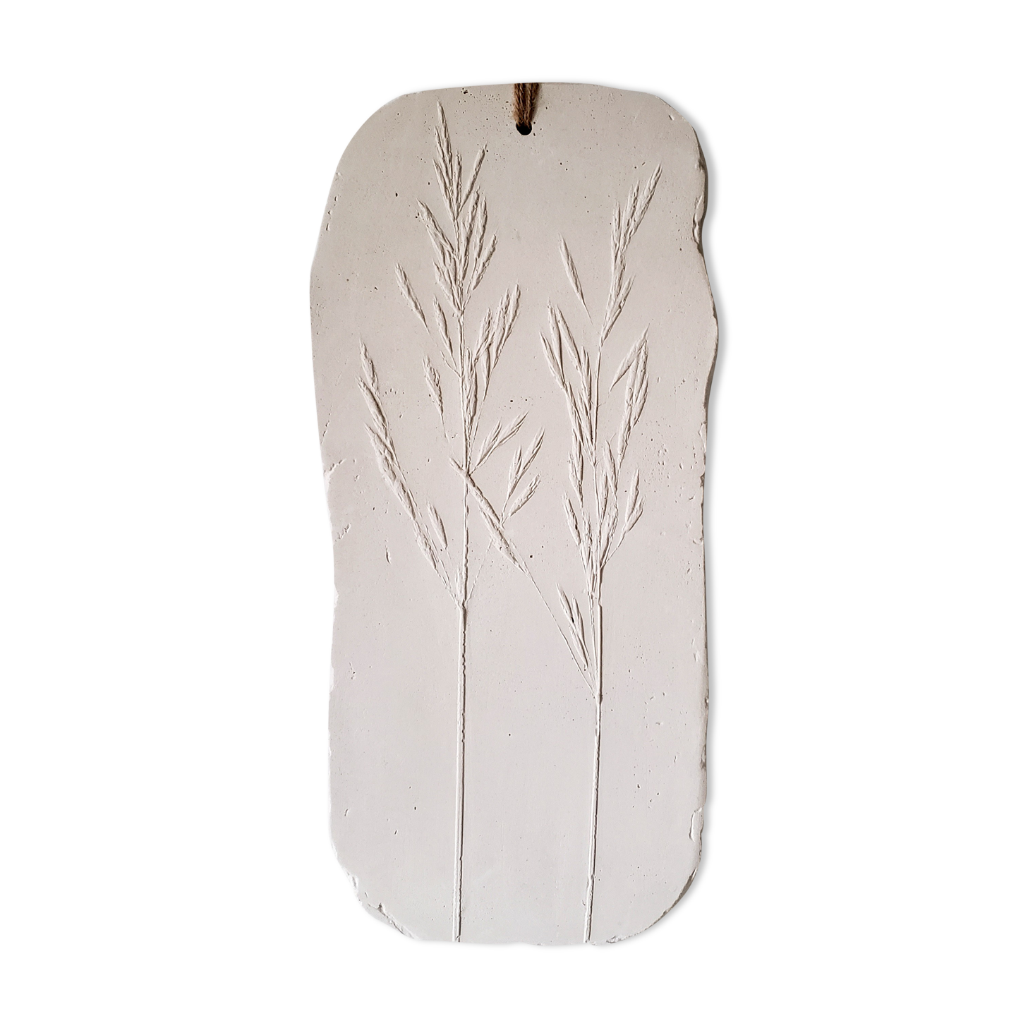 Plaster plant footprint