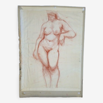 Drawing sanguine study nude female 67/50cm 1950