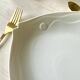 Set of 6 Royal Tettau German porcelain fish plates