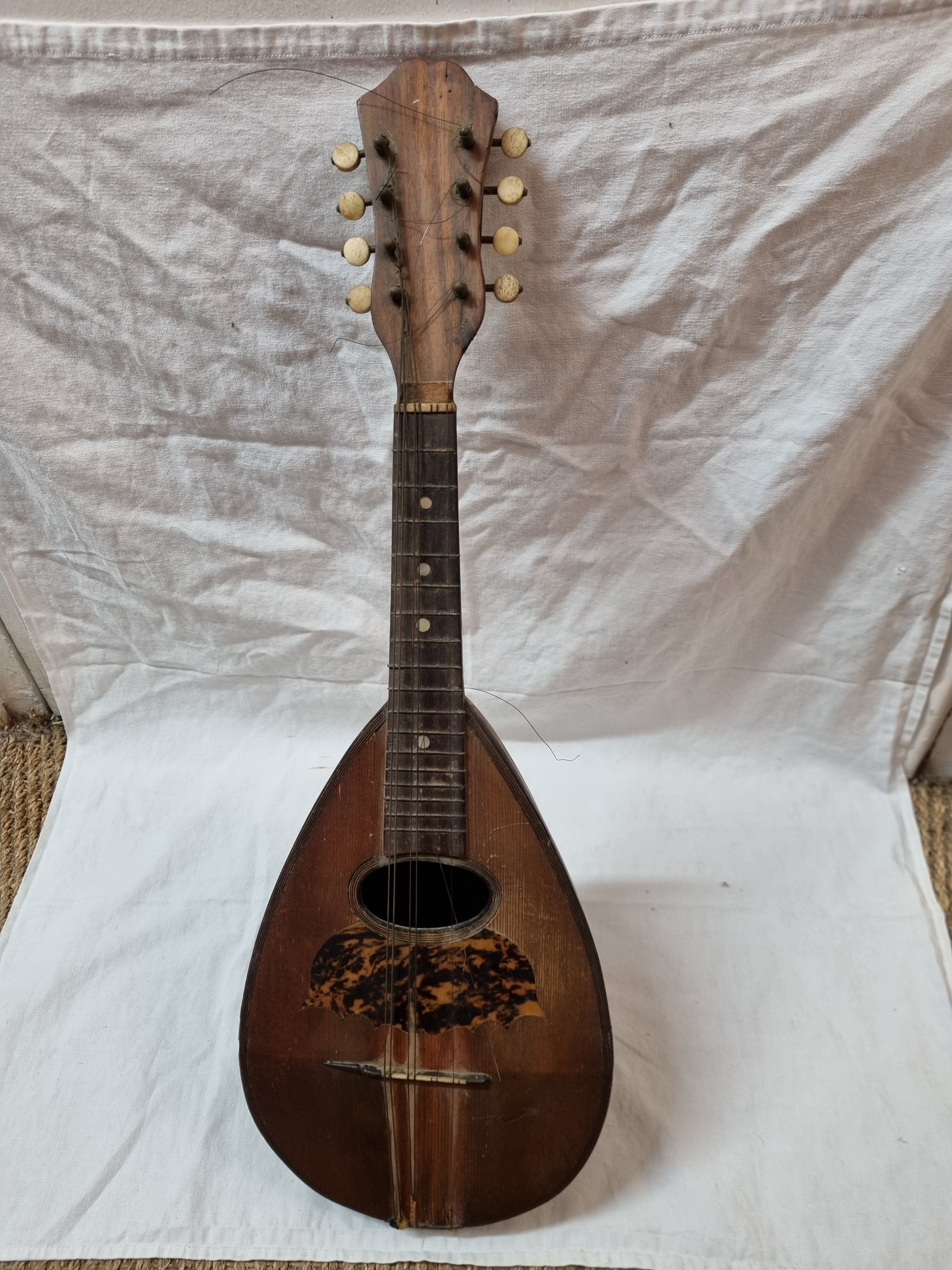 Mandolin Domenico Salvadori Napoli antico