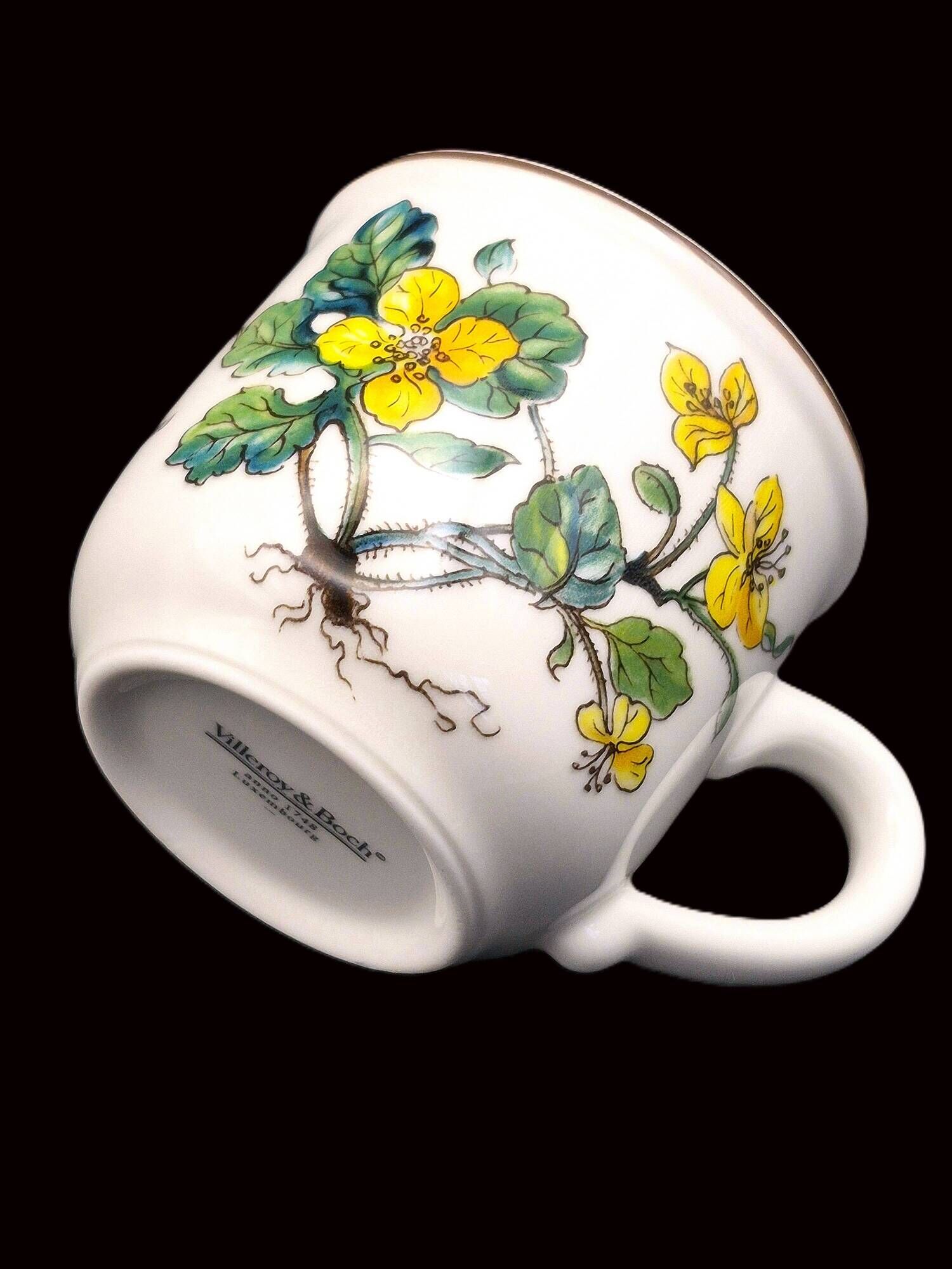 Set of 6 coffee cups and saucers Villeroy & Boch, vintage, Botanica