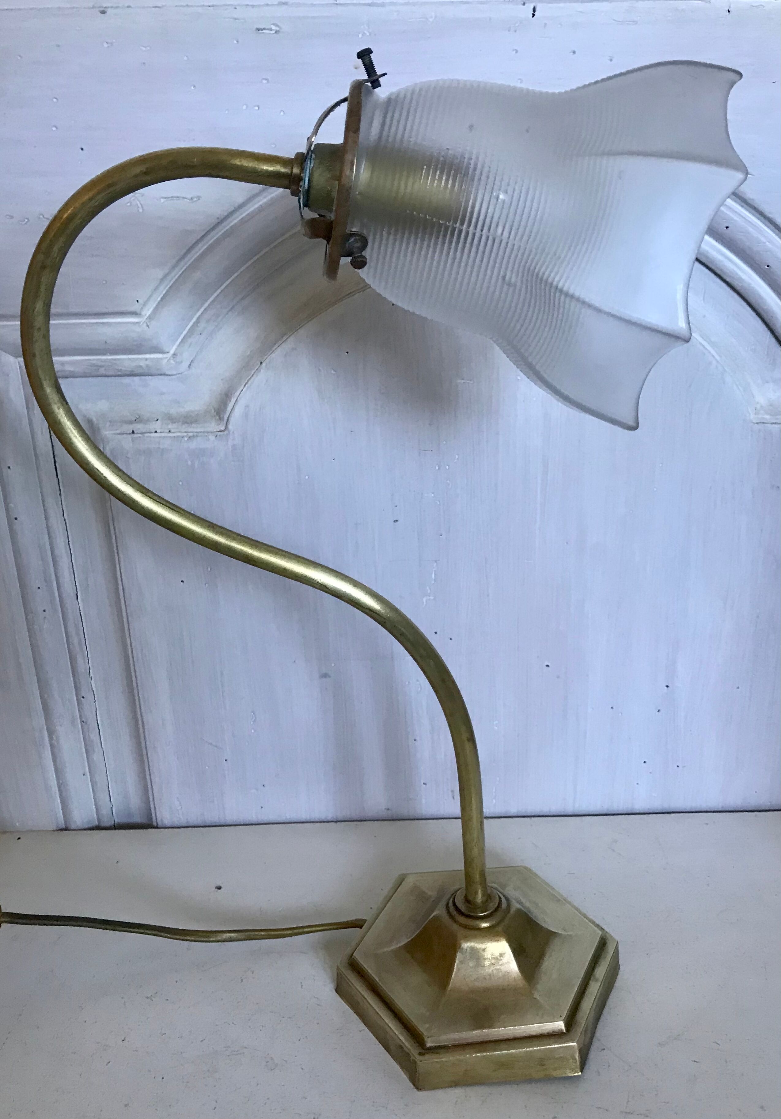 Brass gooseneck lamp