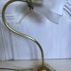 Brass gooseneck lamp