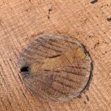 Brutalist table wood raw