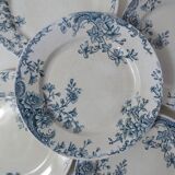 Iron earth 6 flat flower plates althaea