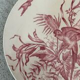 Model dish Congo Longchamp