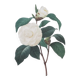 Vintage print Camellia flower white leaves 1960s