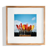 Bouquet of paddles