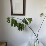 Henri Matisse vellum screenprint framed by King McGraw