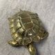 Brass Turtle Ashtray