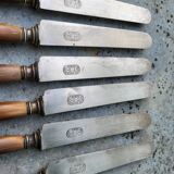 Series of 6 knives steel horn handle