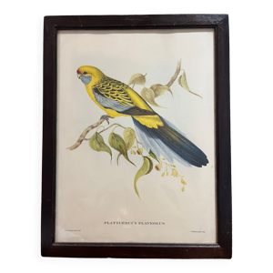Lithographie oiseau j&e