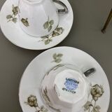 2 cups with subcups