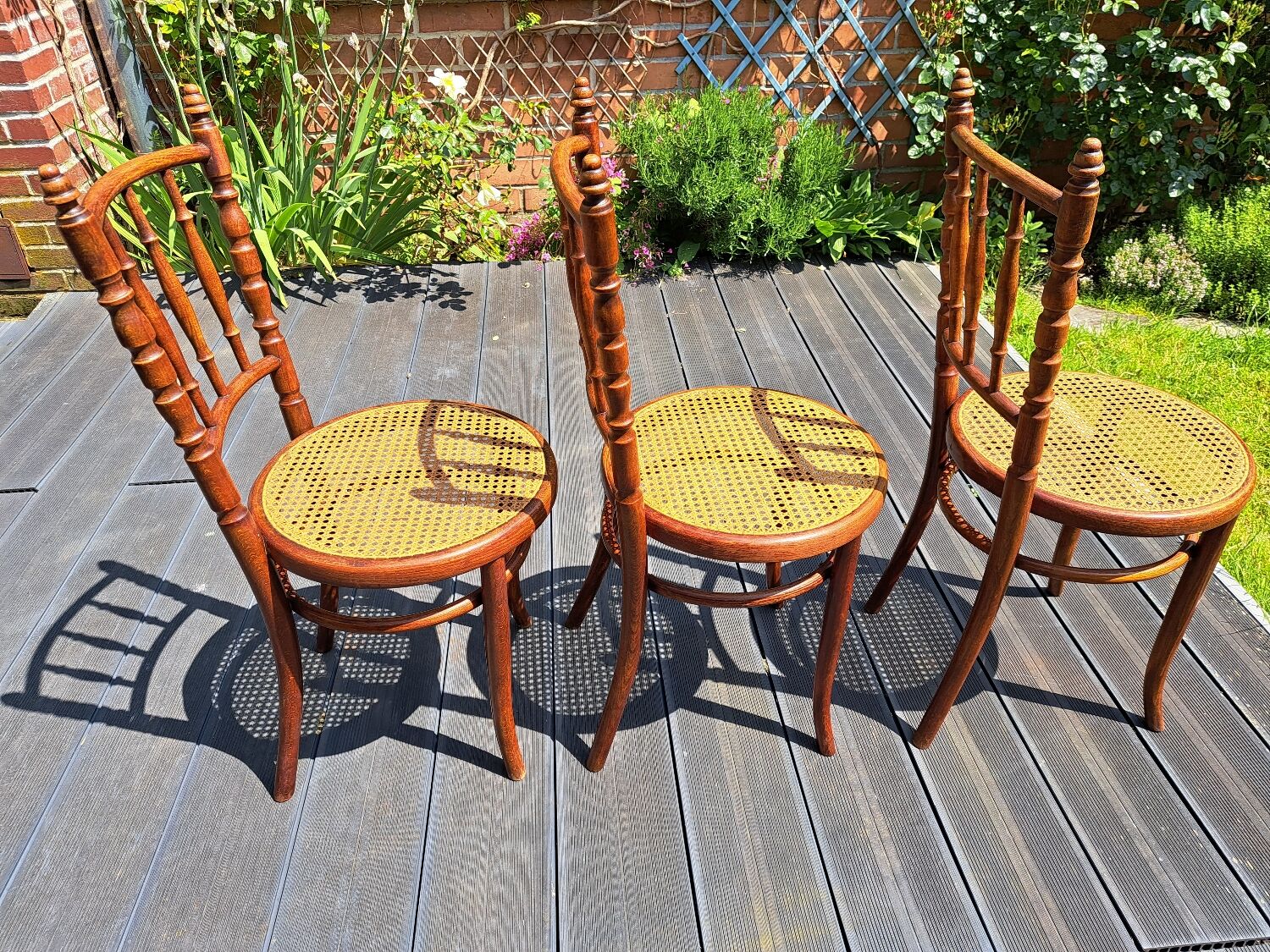 Set of 6 Fischel chairs in cane wood