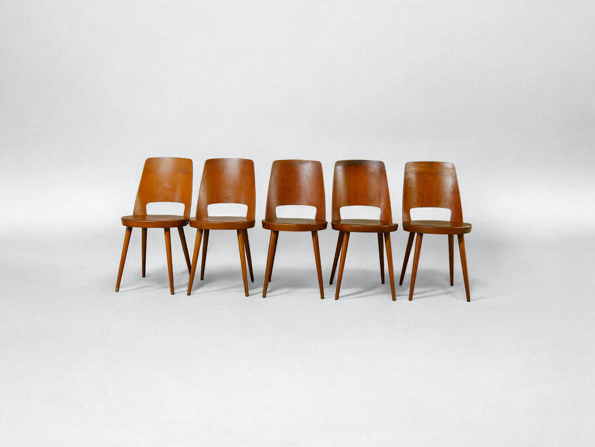 5 chaises Baumann Mondor, 1950-1960