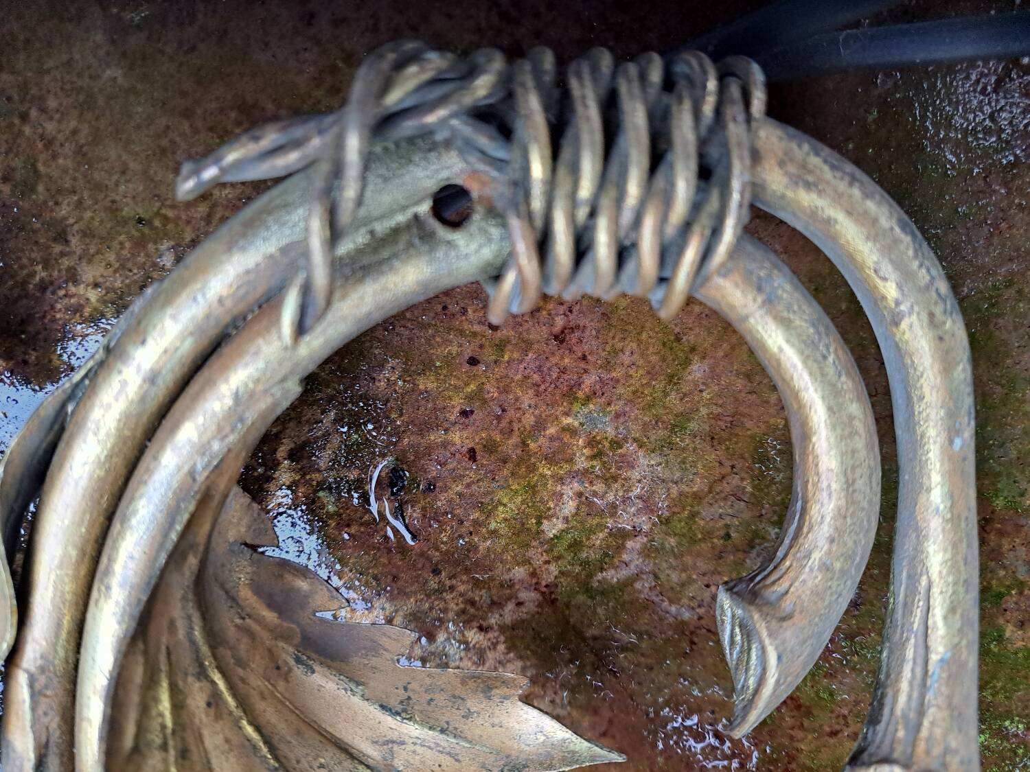 Gilded brass flower wall light