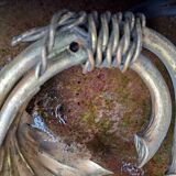 Gilded brass flower wall light