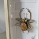 Hand-embroidered insect artwork (unique piece)