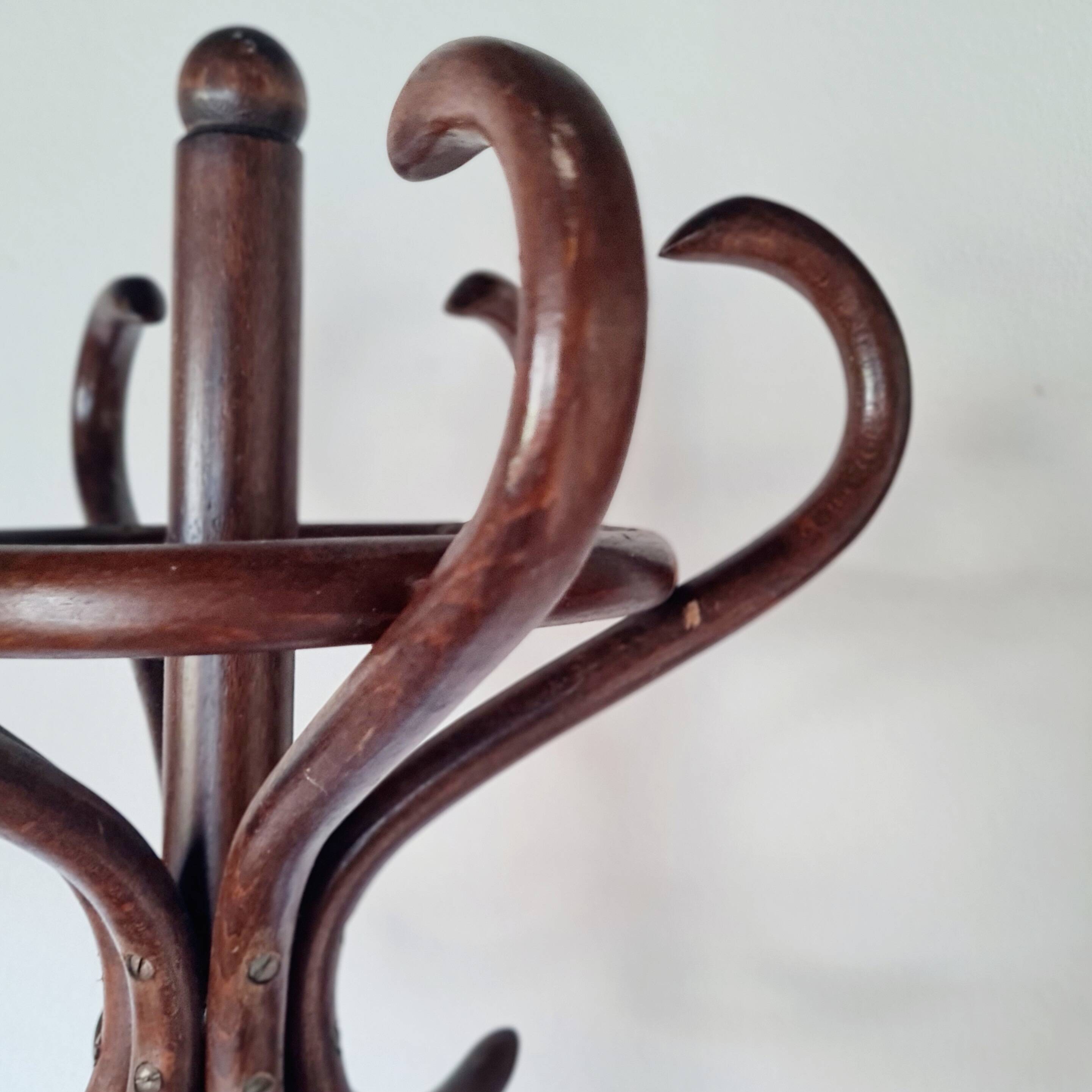 Antique curved wooden coat rack in the Thonet style, 1875.
