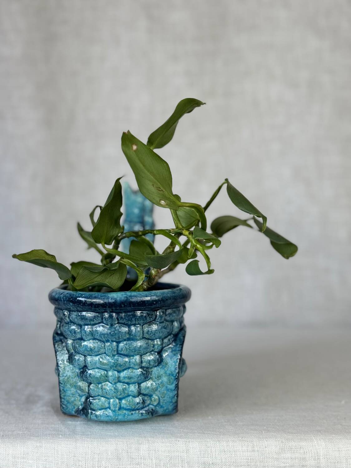 Vintage donkey turquoise blue plant pot / planter