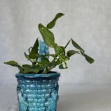 Vintage donkey turquoise blue plant pot / planter