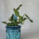 Vintage donkey turquoise blue plant pot / planter