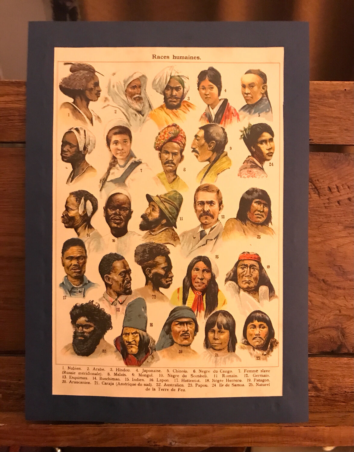 Planche pédagogique « races humaines »