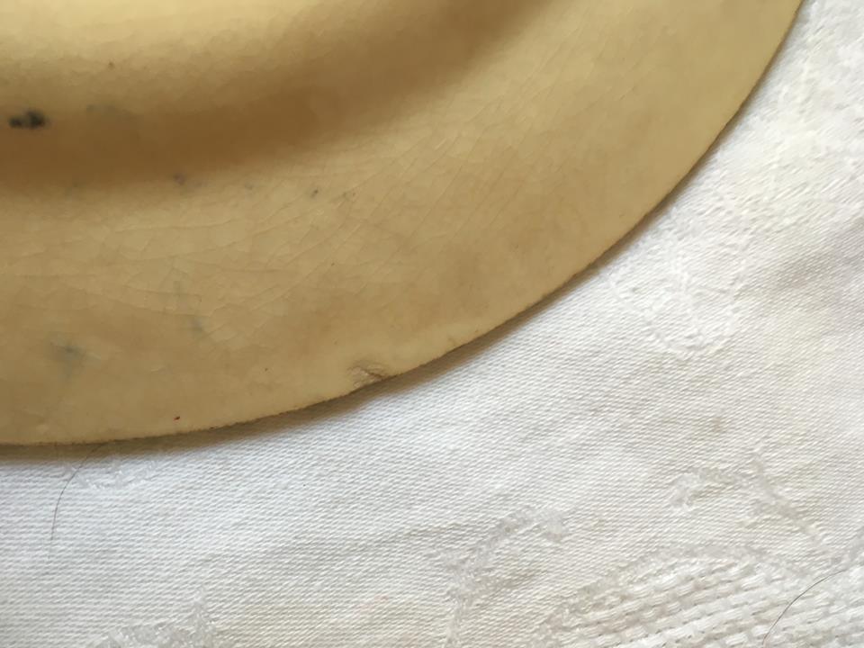 Four plates flat faience of Gien model begonia