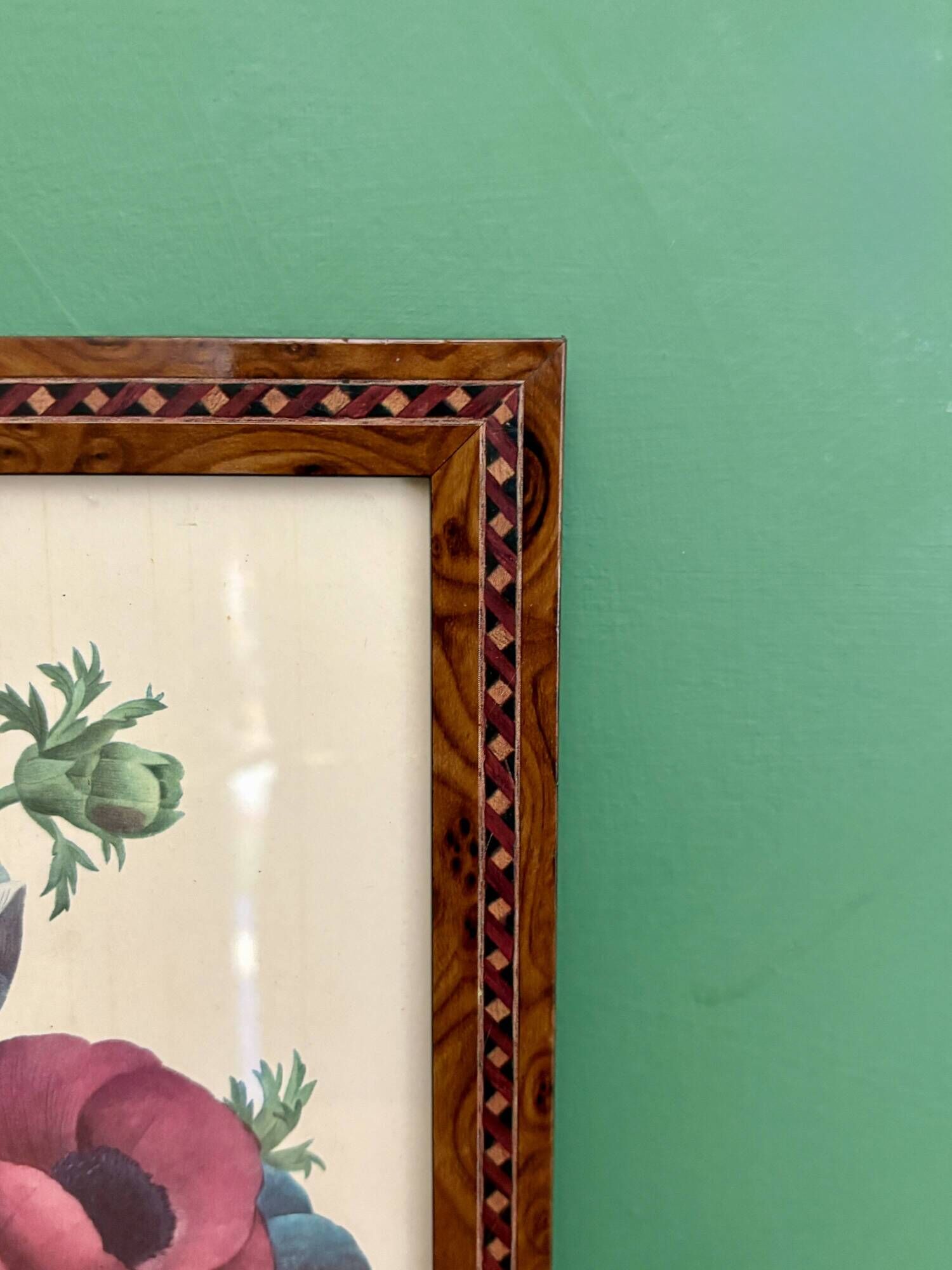 Vintage frame drawing of anemones by Redouté.