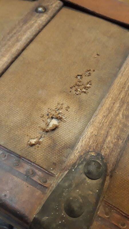 Antique curved transport trunk circa 1900 B.Vinay