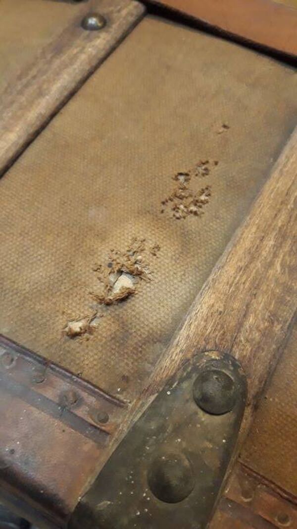 Malle de transport bombée ancienne vers 1900 B.Vinay