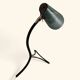 Lampe "Cocotte" en Rigitule Vert dans le style de Mathieu Matégot, 1950s.