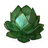 Photophore in mother-of-pearl