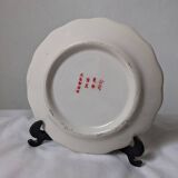 Souvenir plate from Japan