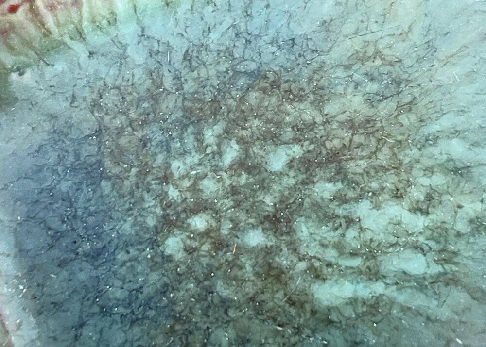 Danish studio pottery bowl from the mid-century by Jytte Trebbien and Harry Nielsen for Tusbo, 1960s.