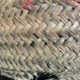 Dame Jeanne clissée osier