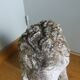 Lion garden statue in reconstituted stone