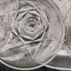 Set of 6 liqueur glasses Cristal d'Arques model Auteuil