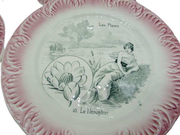 Set de 12 assiettes Digoin Sarreguemines XIXème les fleurs french flowers plates