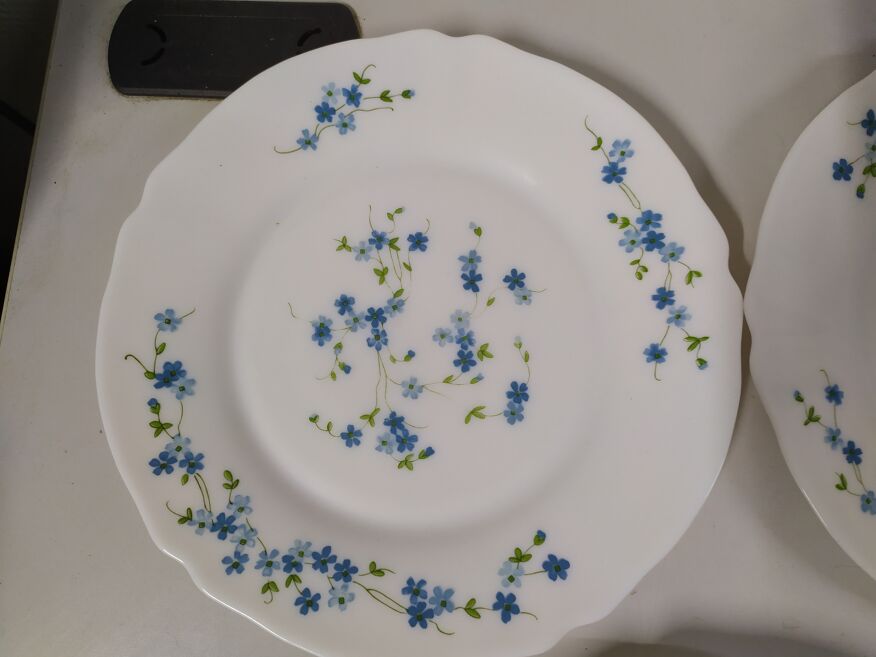 Set de 5 assiettes plate Arcopal Véronica Myosotis fleur bleu vintage |  Selency