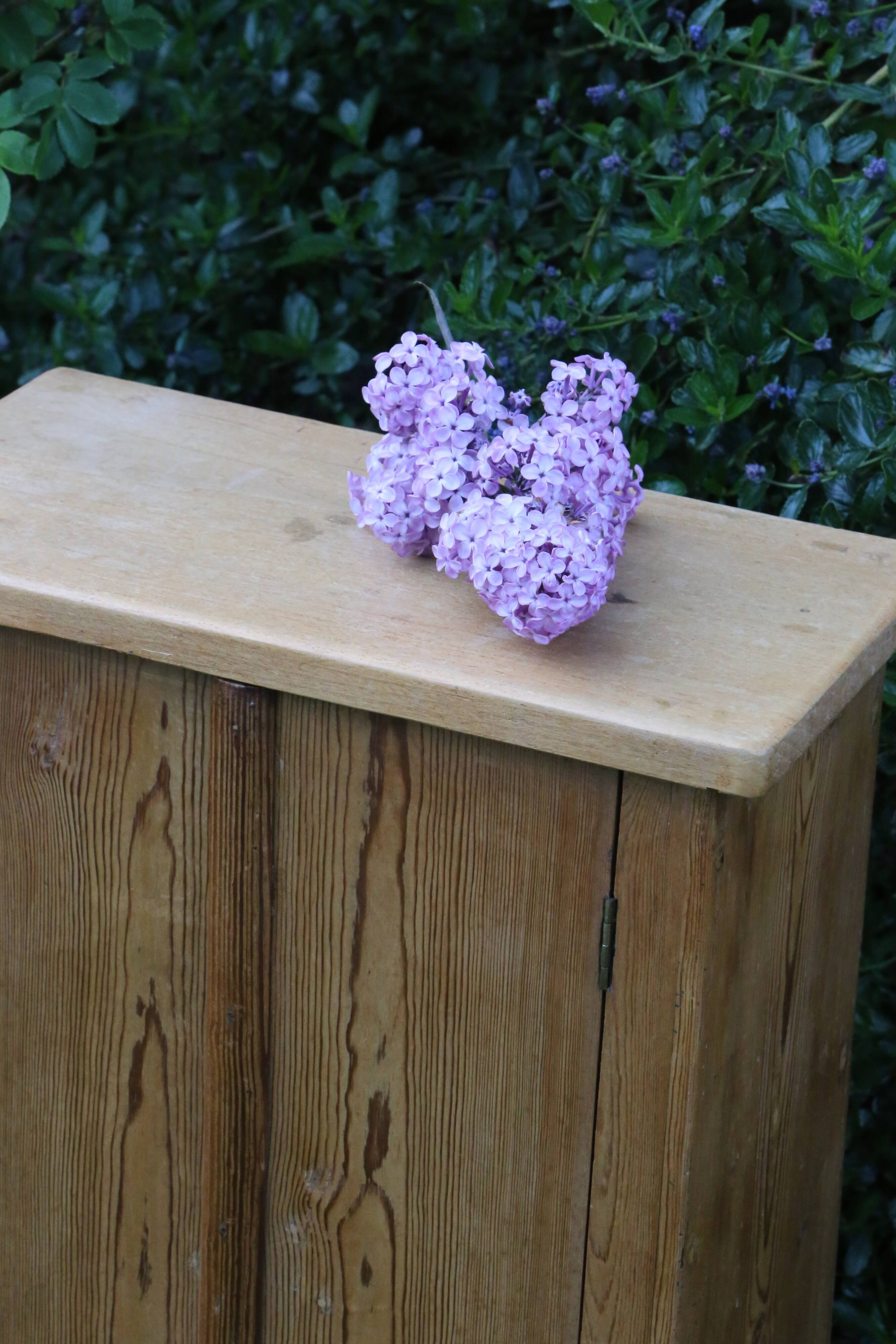 Pine cabinet, vintage